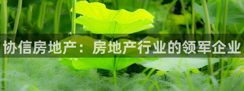 永利股份公告