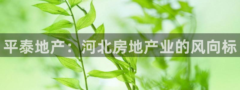 永利酒店购物