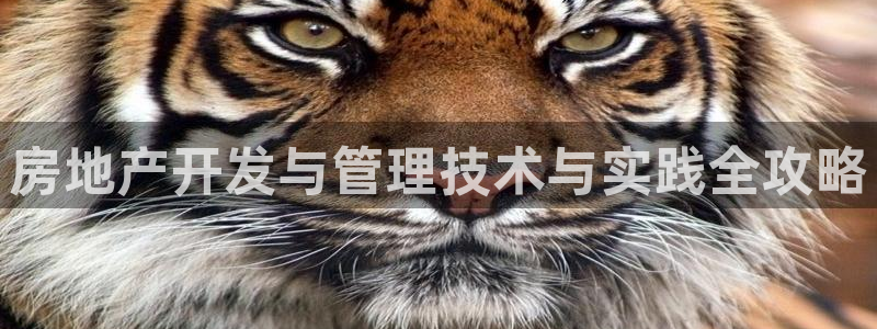 永利官方旗舰店