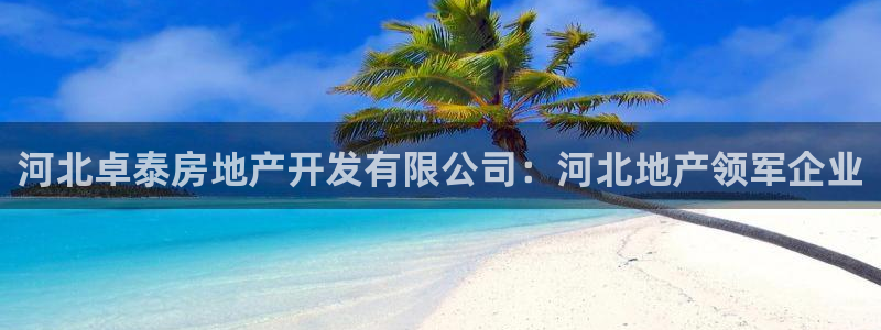 永利宝高管