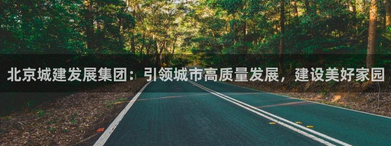 永利集团简介