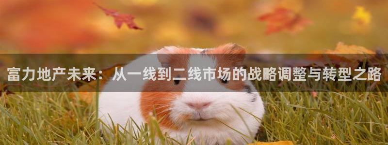 鄂尔多斯永利煤矿老板