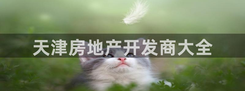 永利表行为什么那么便宜