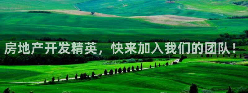 永利网络科技有限公司